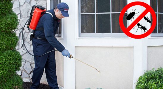 Büyükçekmece Akrep İlaçlama böcek ilaçlama ve haşere kontrolü — ilaclama-tr.com